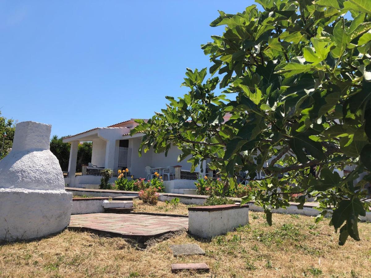 Villa Rosa 瓦雷多利亚 外观 照片